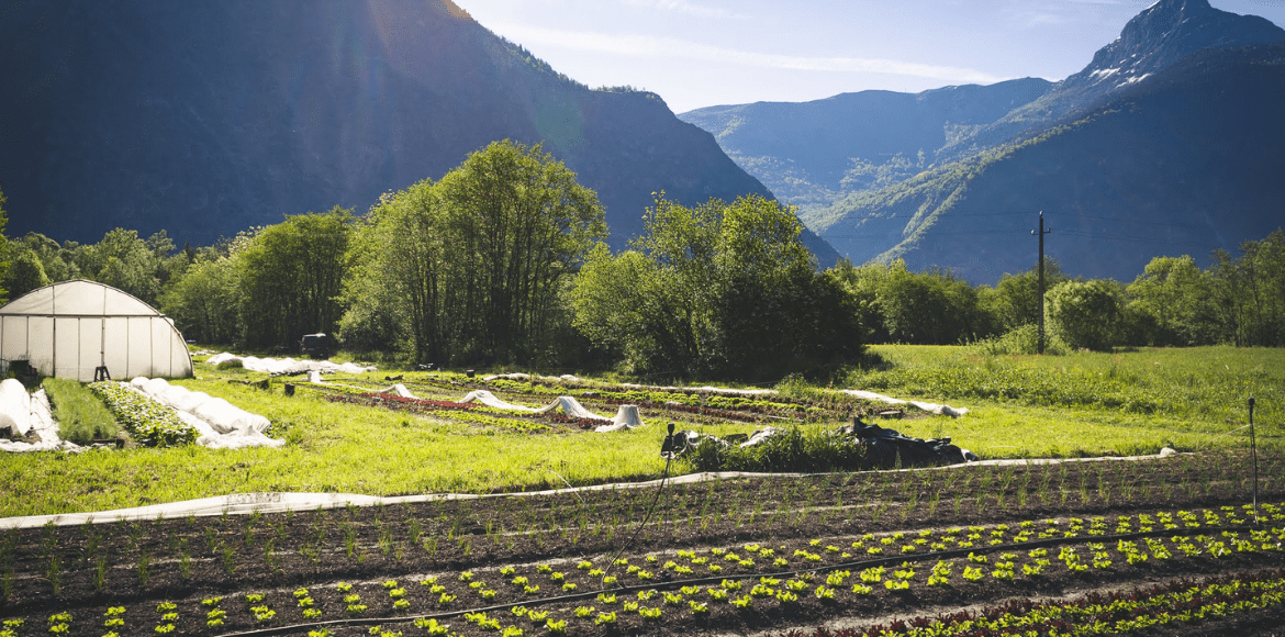 Les Jardins d'Oisans - Agriculture durable