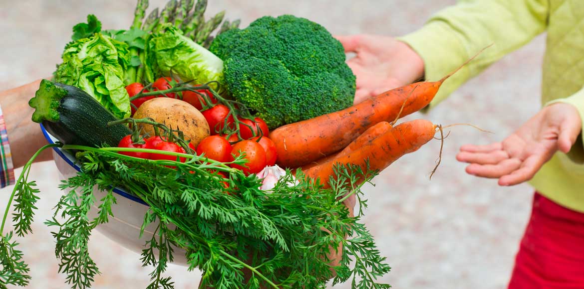 alimentation et environnement