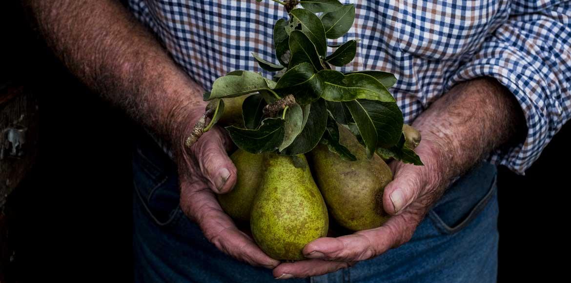 alimentation et environnement