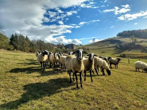 Yéli soutient le projet de Gaelle avec la cagnotte des champs