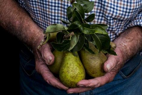 alimentation et environnement